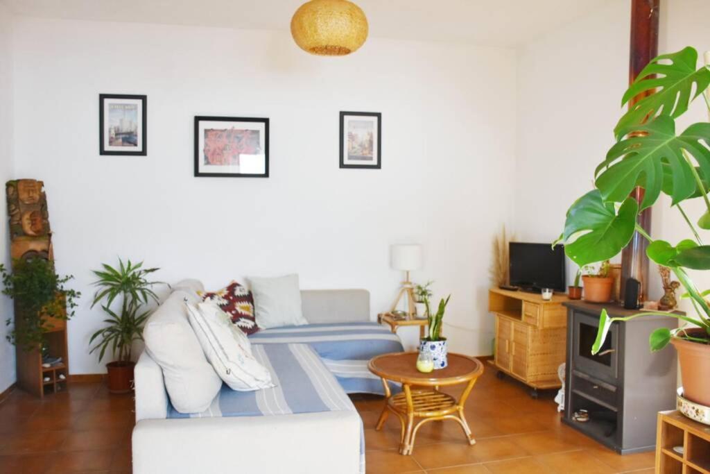 Bamboo House Aljezur Apartment Luaran gambar